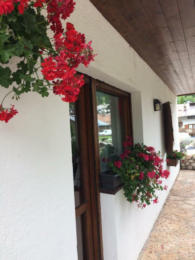 Appartement Ca' Dello Scoiattolo à Cortina dʼAmpezzo Extérieur photo